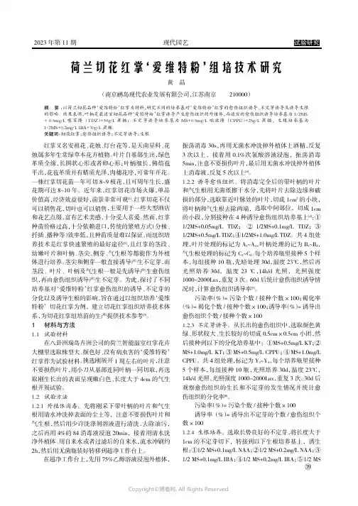 荷兰切花红掌‘爱维特粉’组培技术研究