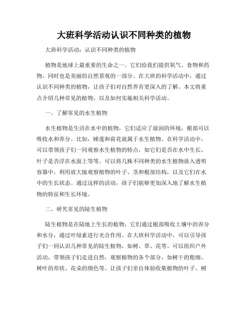 大班科学活动认识不同种类的植物