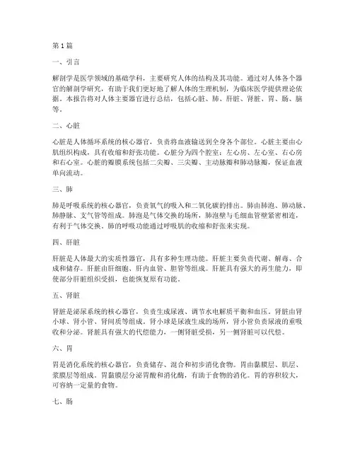 解剖学器官总结报告范文(3篇)