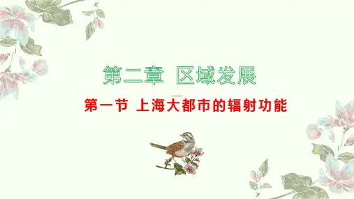 高中地理新教材(2019)版选择性必修2第2章第1节 上海大都市的辐射功能