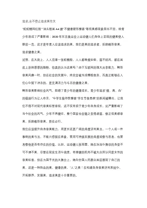 追求,永不停止追求美作文