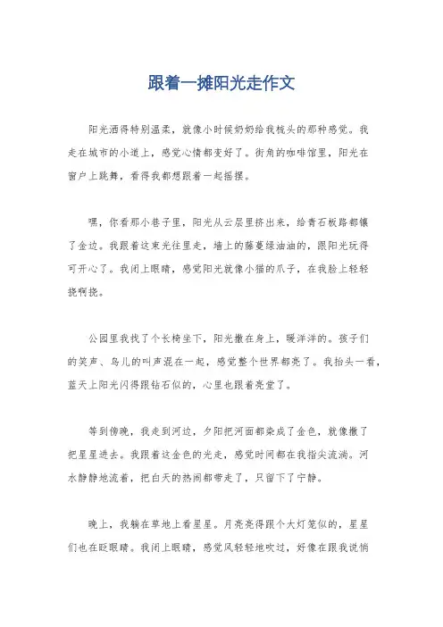 跟着一摊阳光走作文