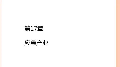 第十七章  应急产业  《产业经济学》PPT课件