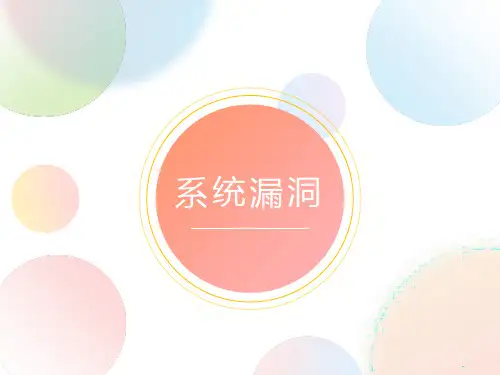 信息安全 常见的系统漏洞