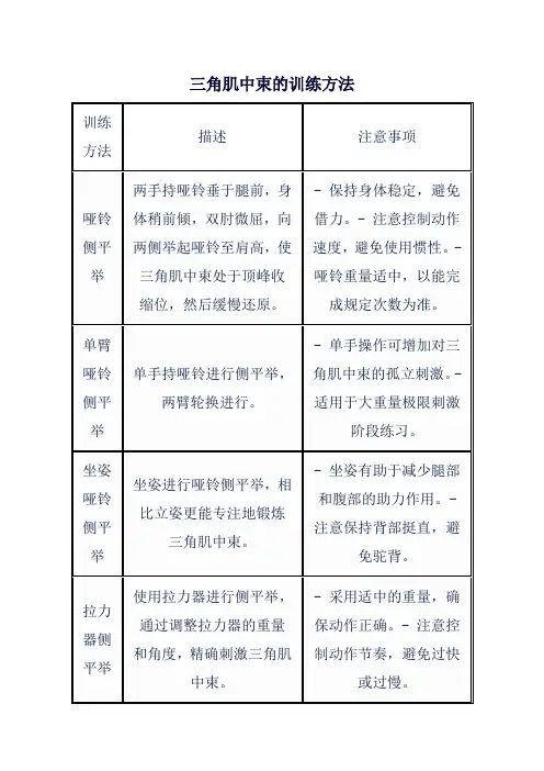 三角肌中束的训练方法