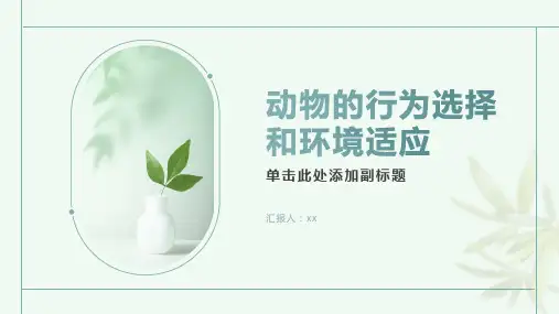 动物的行为选择和环境适应
