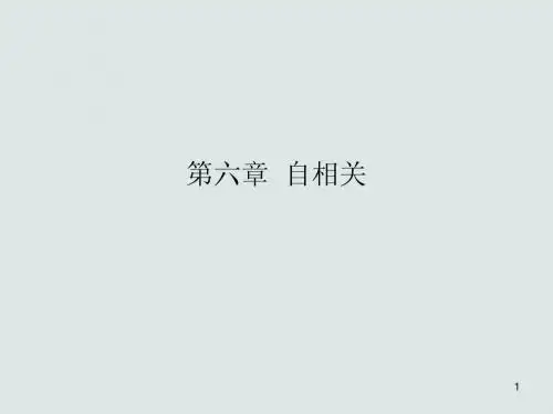 第六章  自相关