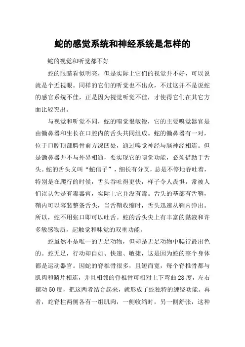 蛇的感觉系统和神经系统是怎样的