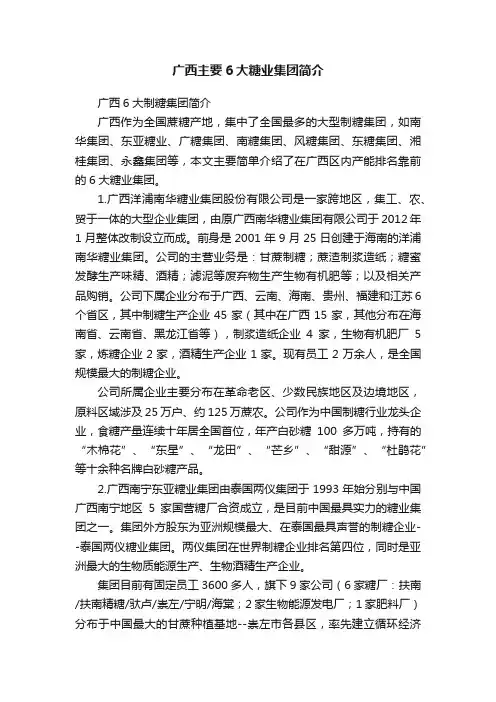 广西主要6大糖业集团简介