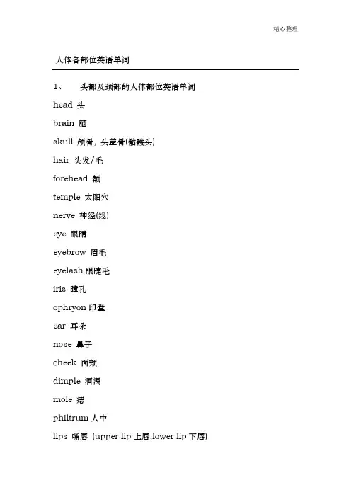 人体各部位英语单词