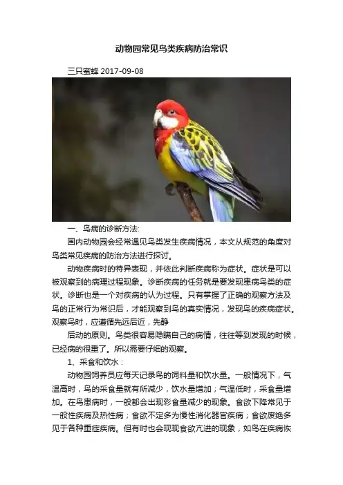 动物园常见鸟类疾病防治常识