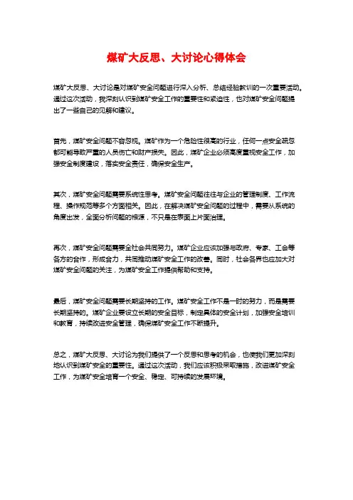 煤矿大反思、大讨论心得体会