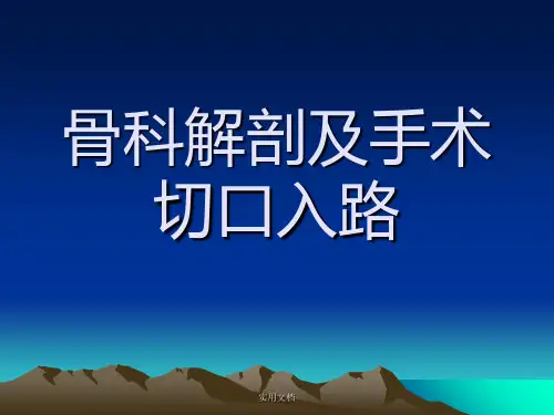 骨科解剖及手术切口入路