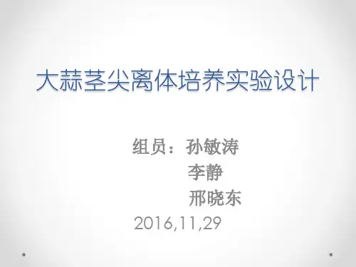 大蒜茎尖离体培养实验设计