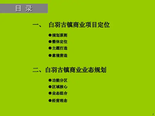 西峡县旅游服务综合体白羽古镇商业规划