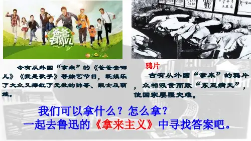 拿来主义_精品文档