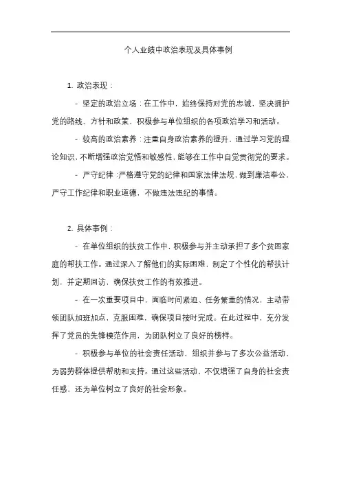 个人业绩中政治表现及具体事例