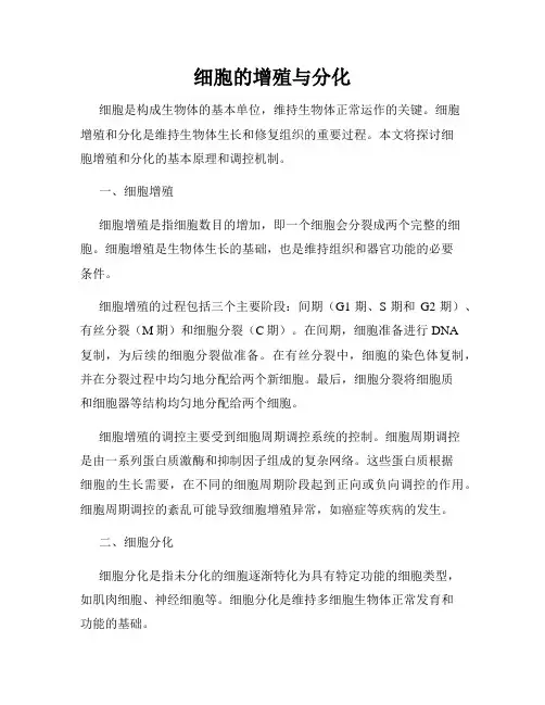细胞的增殖与分化