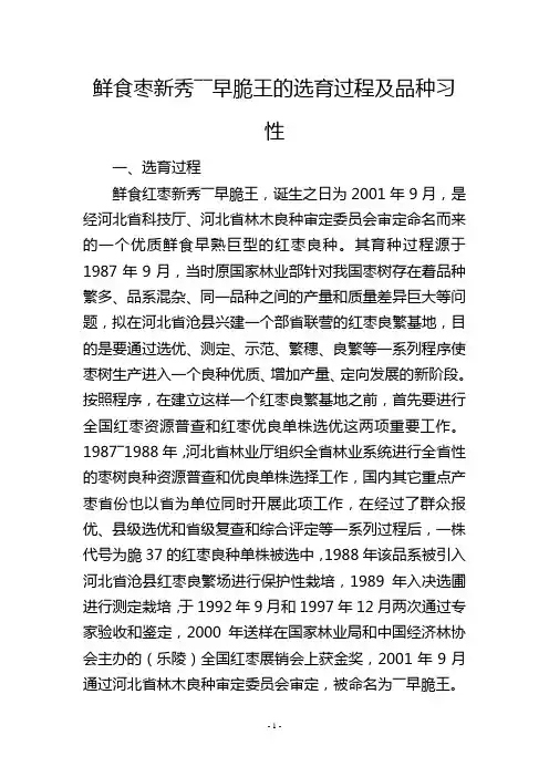 鲜食枣新秀――早脆王的选育过程及品种习性