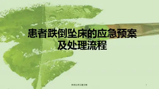 跌倒坠床应急预案ppt课件