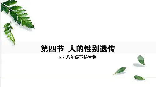 第四节人的性别遗传_1(人教版生物)