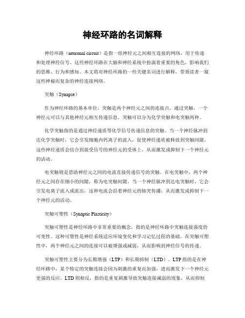 神经环路的名词解释