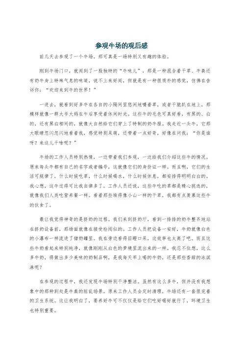 参观牛场的观后感