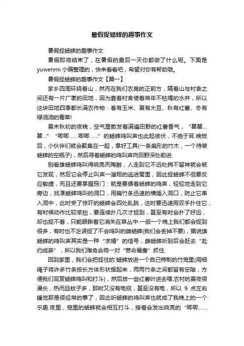 暑假捉蟋蟀的趣事作文