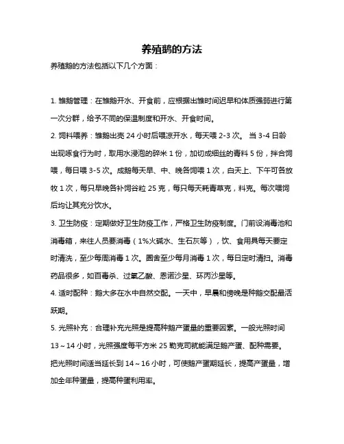 养殖鹅的方法