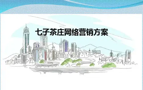 茶叶网络推广方案PPT课件