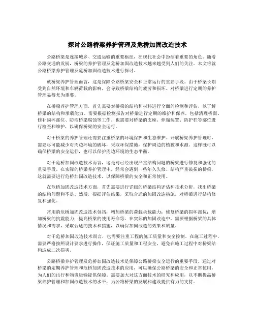 探讨公路桥梁养护管理及危桥加固改造技术