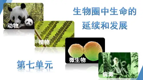 植物的生殖ppt课件