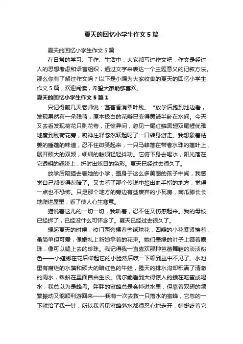 夏天的回忆小学生作文5篇