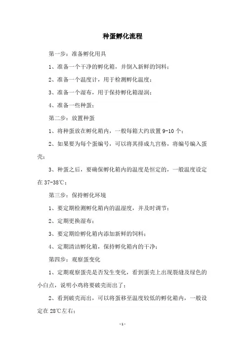 种蛋孵化流程