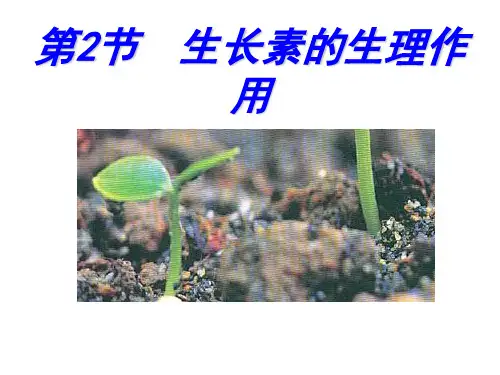 生长素的生理作用(新课标人教版必修3)精品PPT教学课件