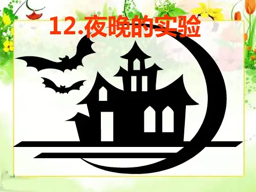 六年级下语文课件夜晚的实验_苏教版