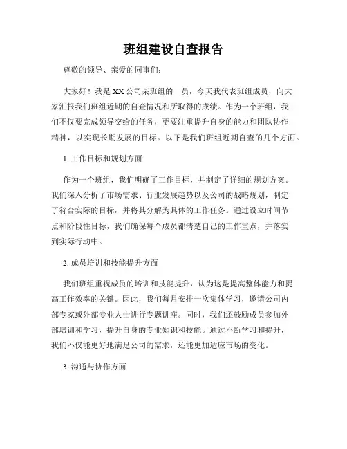 班组建设自查报告