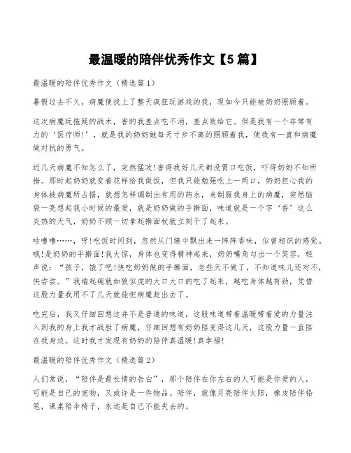 最温暖的陪伴优秀作文【5篇】