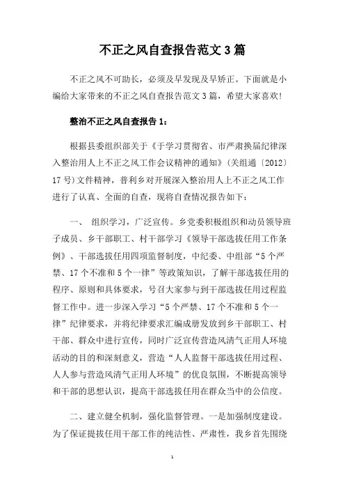 不正之风自查报告范文3篇.doc