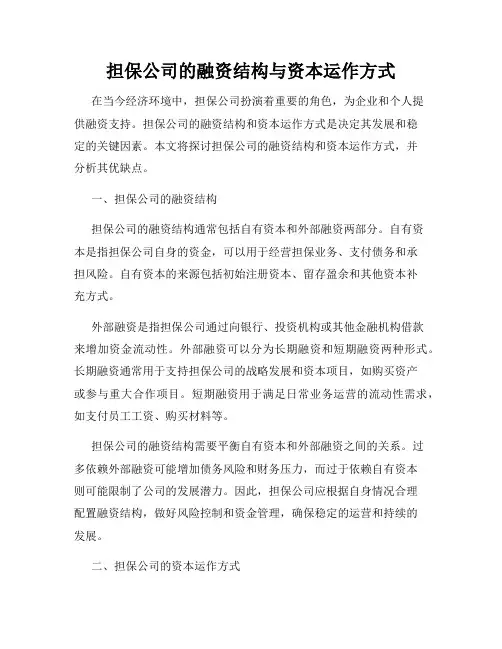 担保公司的融资结构与资本运作方式