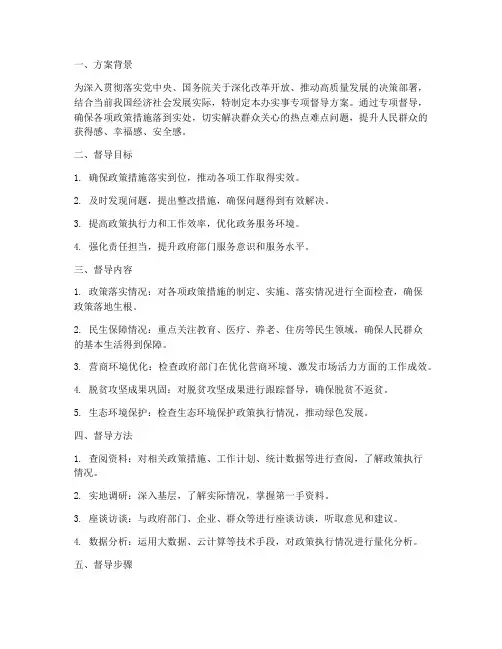 办实事专项督导方案