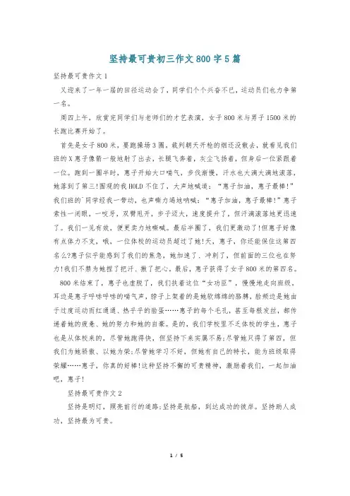 坚持最可贵初三作文800字5篇