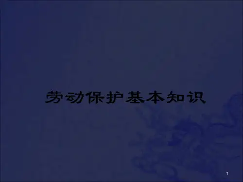 《劳动保护基础知识》PPT课件_OK