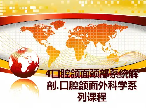 最新4口腔颌面颈部系统解剖.口腔颌面外科学系列课程PPT课件