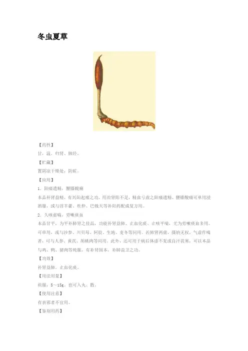 冬虫夏草