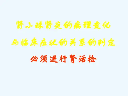 肾小球肾炎的病理变化