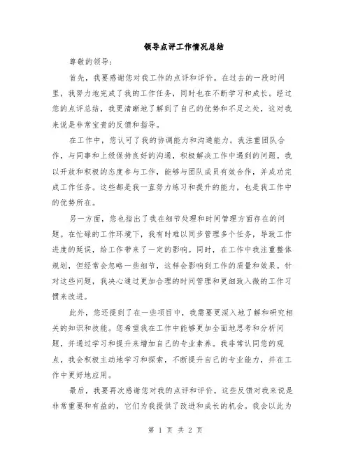 领导点评工作情况总结