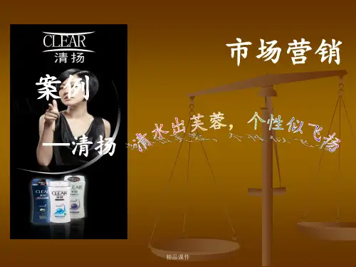 清扬市场营销案例分析