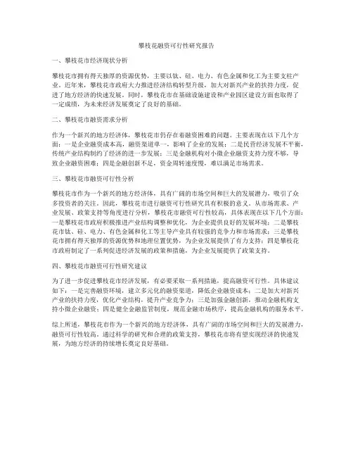 攀枝花融资可行性研究报告
