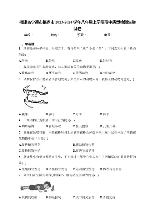 福建省宁德市福鼎市2023-2024学年八年级上学期期中质量检测生物试卷(含答案)